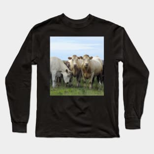 Curious Cows and Calf Long Sleeve T-Shirt